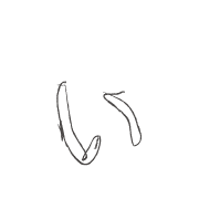 048