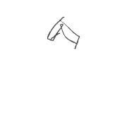 231