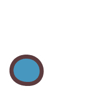 246