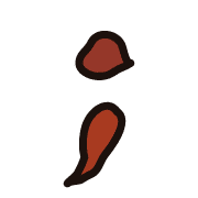 243