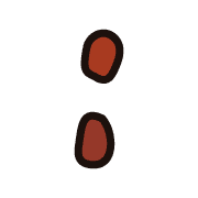 244