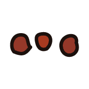 257
