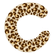 003