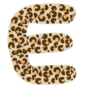 005