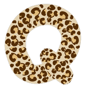 017