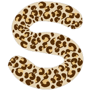 019