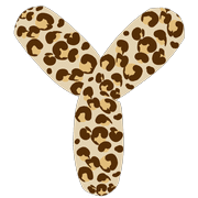025