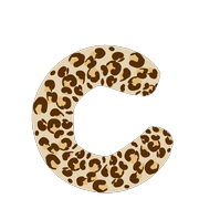029