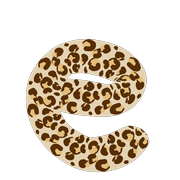 031