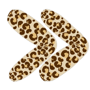 123