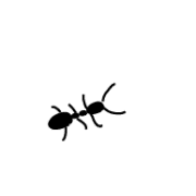 017