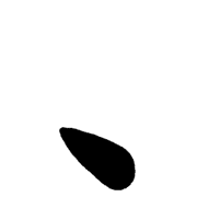 256