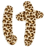 009