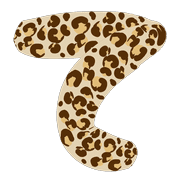 019