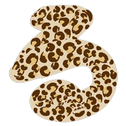 041