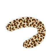 052