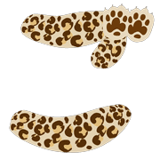 060