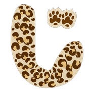 062