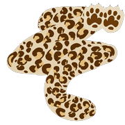 065