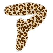 081
