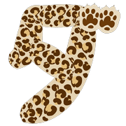 146
