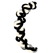 029