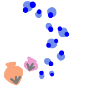 036