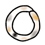 006