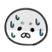 031