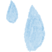 009