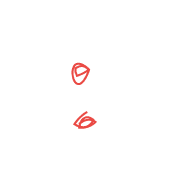 244