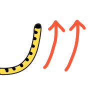 005