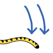 006