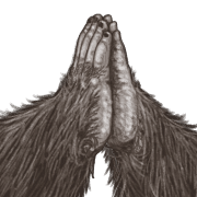 035