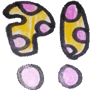 009