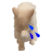 019