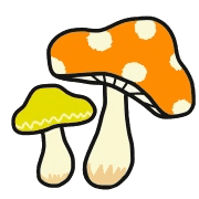 020