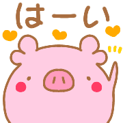 003