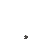 246