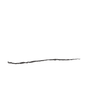 250