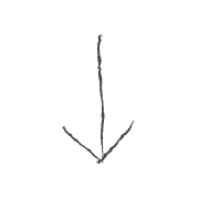 261
