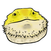 021