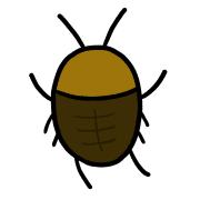 036