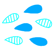 006