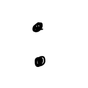 244