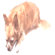 017