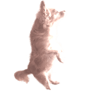 022