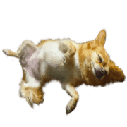 025