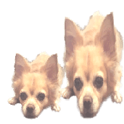 030
