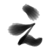 004